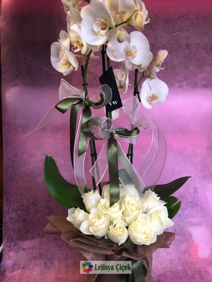 Orkide Saksı Beyaz-Lts-938333