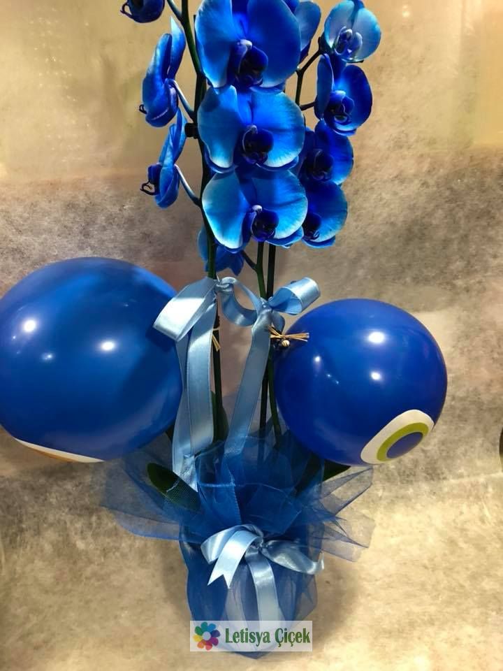 Mavi orkide-lts-62622