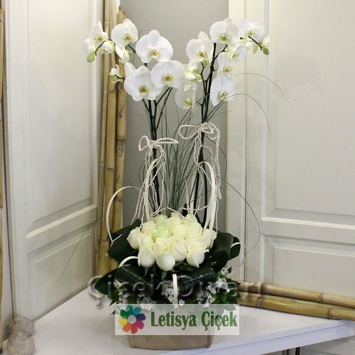 Orkide saksi beyaz güllü-lets-37361