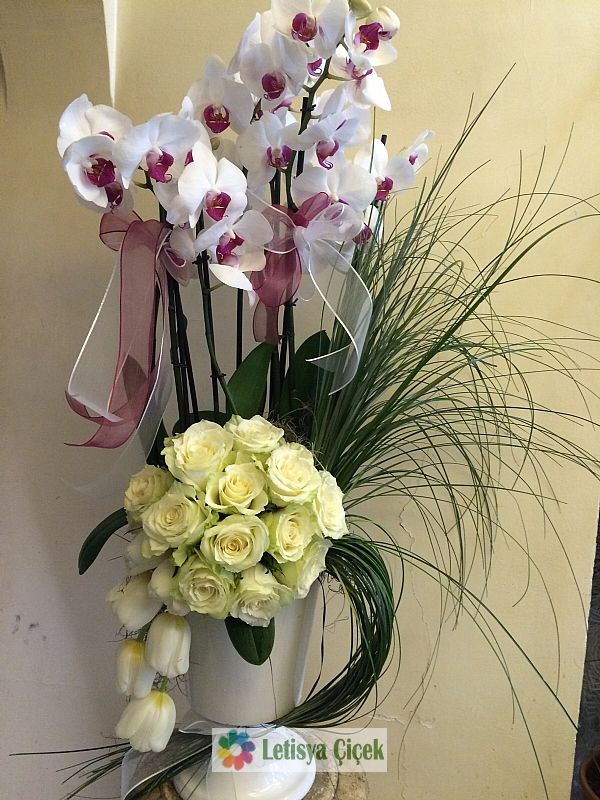 Orkide saksi-yeni-01215